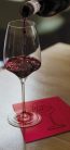 Okay koktélszalvéta 25x25 cm 100 lap/csomag - Wine merlot